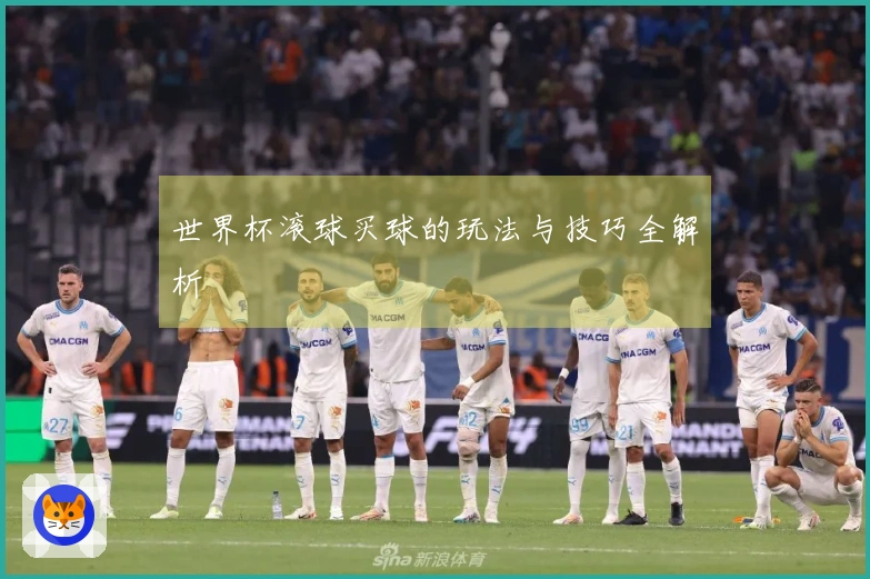 世界杯滚球买球的玩法与技巧全解析