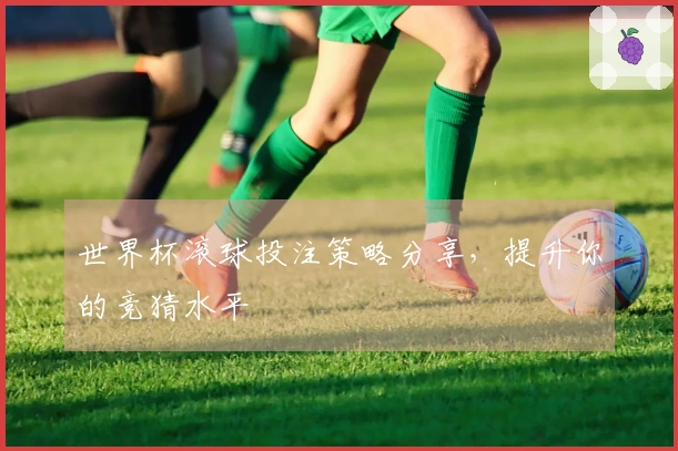 世界杯滚球投注策略分享，提升你的竞猜水平