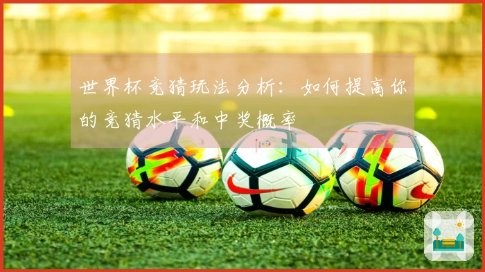 世界杯竞猜玩法分析：如何提高你的竞猜水平和中奖概率